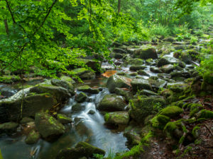 Saußbachklamm near Waldkirchen, Bavarian Forest, Bavaria, Germany Saußbachklamm near Waldkirchen, Bavarian Forest, Bavaria, Germany